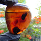 32 gr Pendant Indonesian Blue Amber for Healing 25AG2