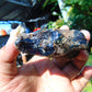 62 gram Rough Raw Indonesian Blue Amber for Healing RBM23