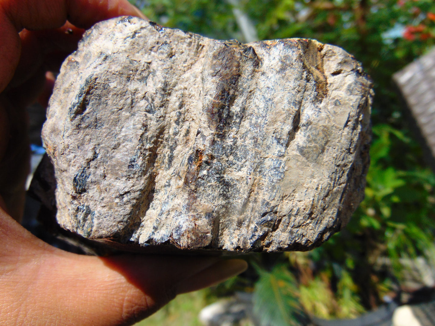 401 gram Rough Raw Indonesian Blue Amber for Healing MLRB71