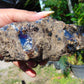 190 gram Rough Raw Indonesian Blue Amber for Healing RBM69