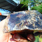 264 gram Rough Raw Indonesian Blue Amber for Healing RBM65