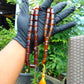 53 gr Komboloi Rosary 33+2 Beads 11x16 mm Indonesian Yellow Red Amber for Healing TT26