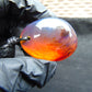 17 gram Pendant Indonesian Blue Amber for Healing PD2
