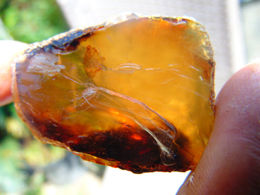 19 gram Rough Raw Indonesian Blue Amber for Healing RBM43