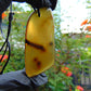 11.08 gr Pendant 56x24 mm Indonesian Amber for Healing Y26