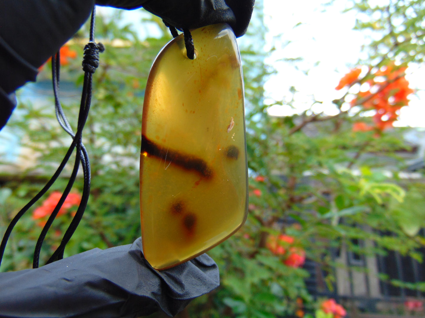 11.08 gr Pendant 56x24 mm Indonesian Amber for Healing Y26