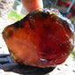 51 gram Rough Raw Indonesian Blue Amber for Healing RBM18
