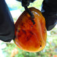17 gr Pendant 46x36x18 Indonesian Amber for Healing P61