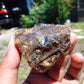 46 gram Rough Raw Indonesian Blue Amber for Healing RBM47