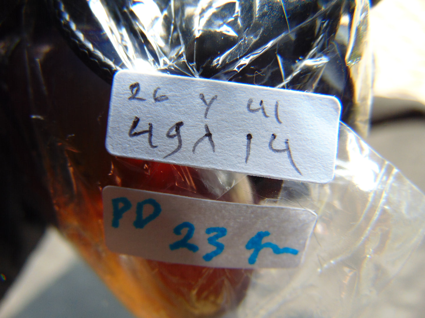 23 gr Donut Pendant Indonesian Blue Amber for Healing 26Y41