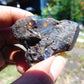 25 gram Rough Raw Indonesian Blue Amber for Healing RBM20