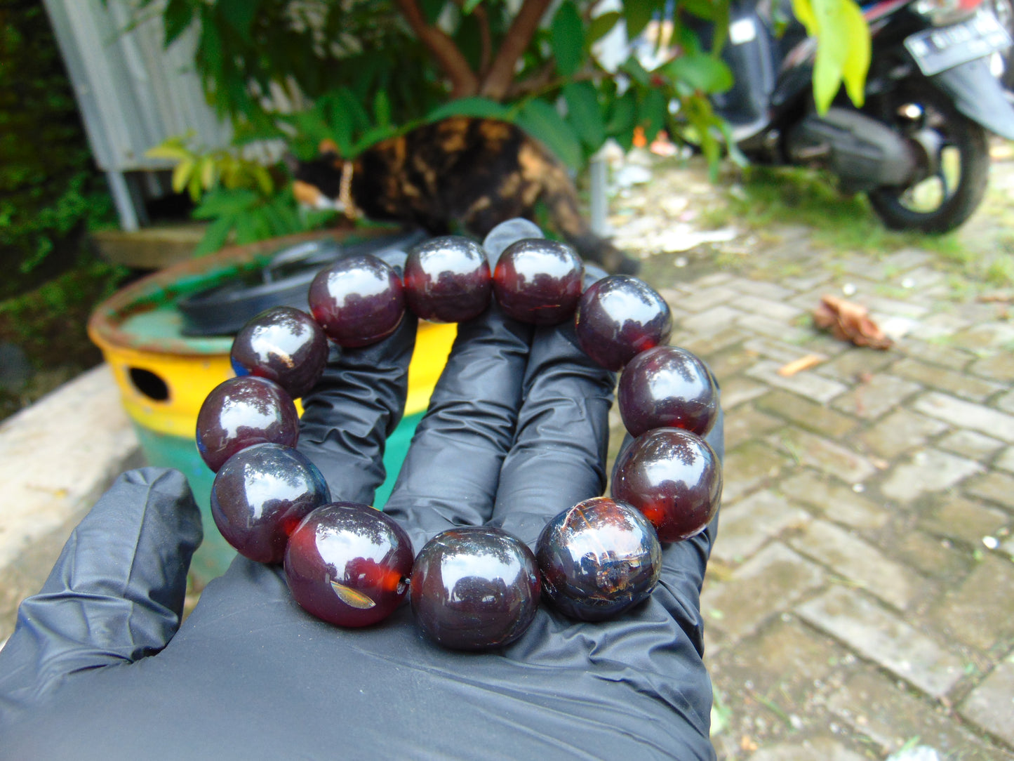 47 gram 12 Beads Mala Bracelet Indonesian Cherry Red Amber 18x20 mm for Healing A12G65