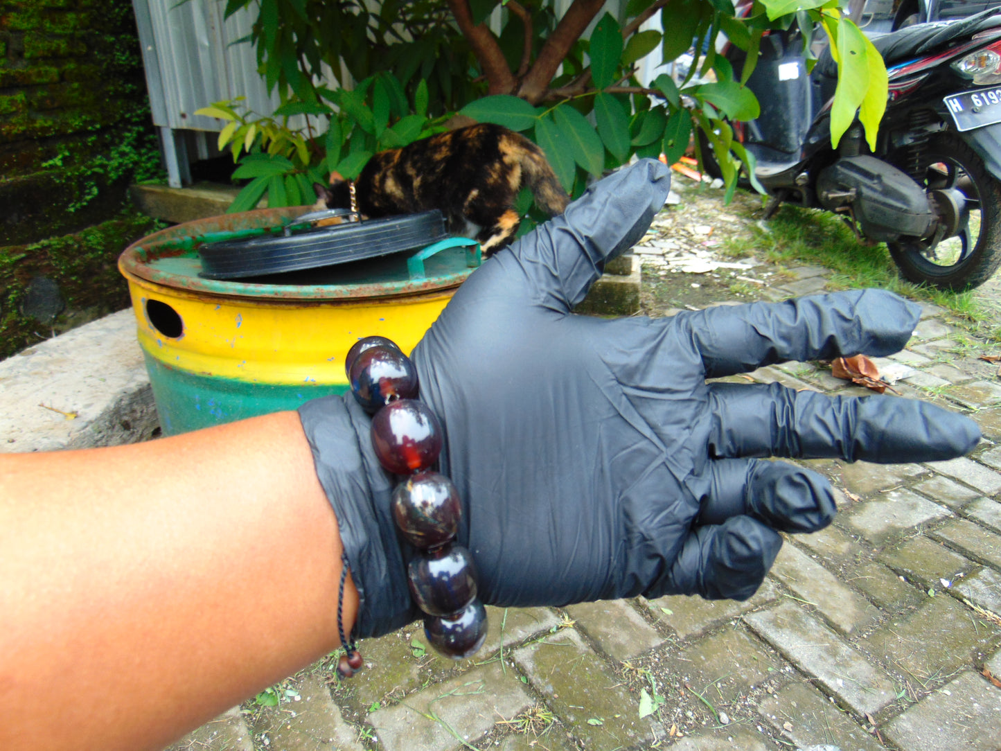 47 gram 12 Beads Mala Bracelet Indonesian Cherry Red Amber 18x20 mm for Healing A12G65