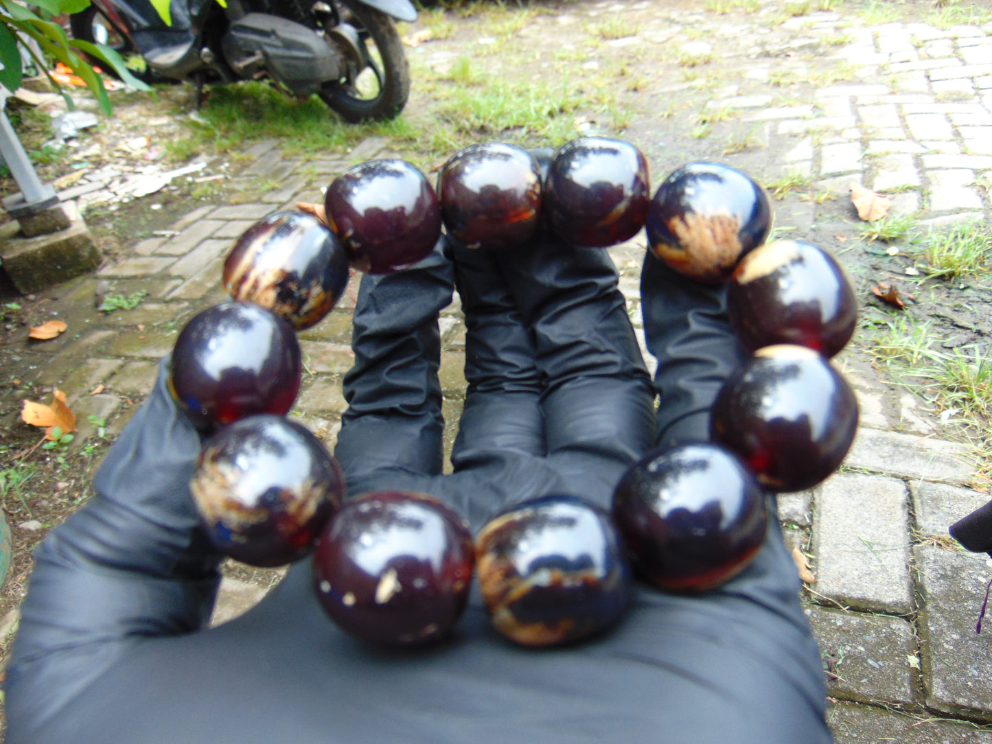 47 gram 12 Beads Mala Bracelet Indonesian amber 18x20 mm for Healing A12G68