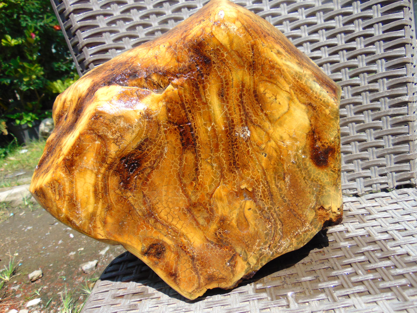 4900 gram Indonesia Yellow Aromatic Perfumed  Amber for Healing 26AYE75