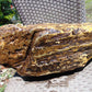 8950 gram Indonesia Yellow Aromatic Perfumed  Amber for Healing 26AYE77