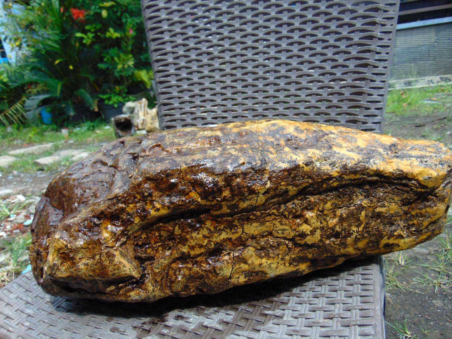 8950 gram Indonesia Yellow Aromatic Perfumed  Amber for Healing 26AYE77