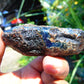 51 gram Rough Raw Indonesian Inclusion Blue Amber for Healing RB352