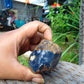 51 gram Rough Raw Indonesian Inclusion Blue Amber for Healing RB360
