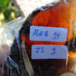 23 gram Rough Raw Indonesian Orange Blue Amber for Healing AGRB99