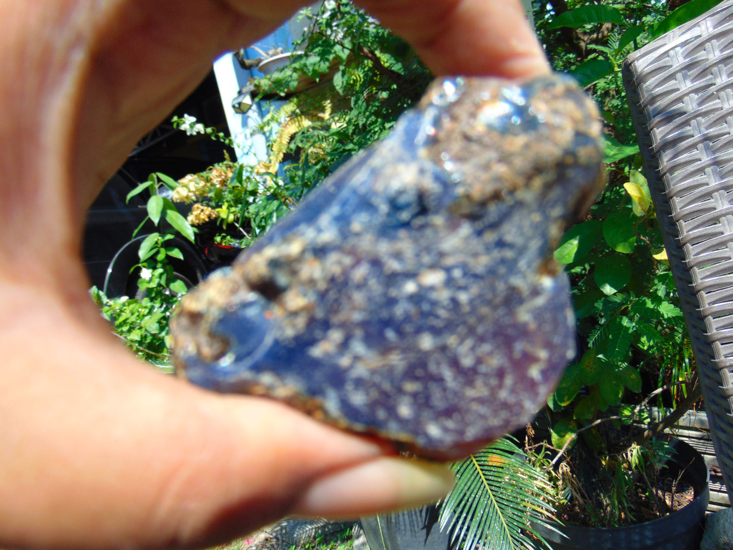35 gram Rough Raw Indonesian Blue Amber for Healing AGRB66