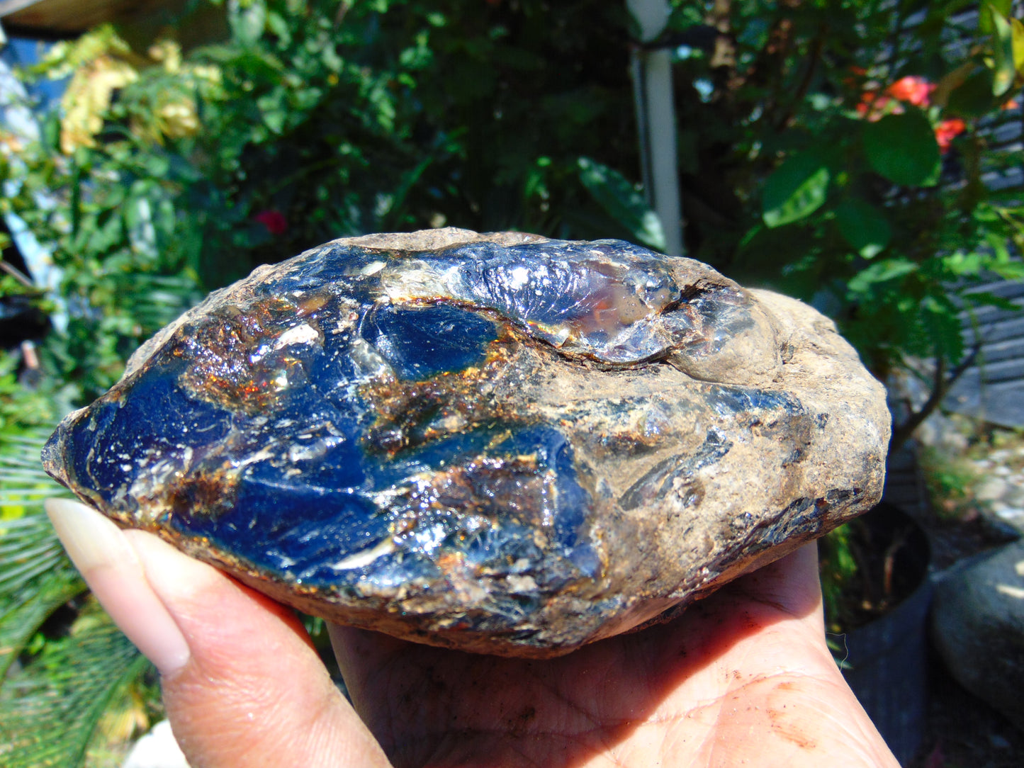 585 gram Rough Raw Indonesian Blue Amber for Healing AGRB30