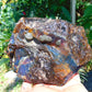 696 gram Rough Raw Indonesian Blue Amber for Healing AGRB31