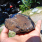 216 gram Rough Raw Indonesian Blue Amber for Healing AGRB53