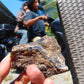 29 gram Rough Raw Indonesian Inclusion Blue Amber for Healing AGRB84