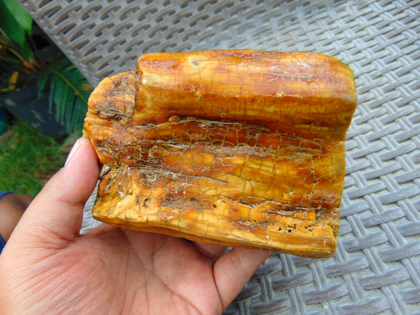 452 gram Polished 125x90x55mm Indonesia Yellow Fragrance Amber for Healing KM24