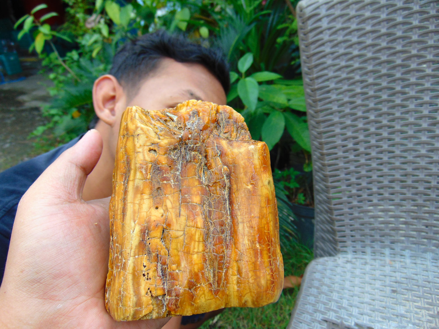 452 gram Polished 125x90x55mm Indonesia Yellow Fragrance Amber for Healing KM24