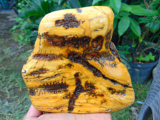 489 Gr 135x120x40mm Polished Indonesian Yellow Fragrant Aromatic Parfumed Amber for Healing 25K5