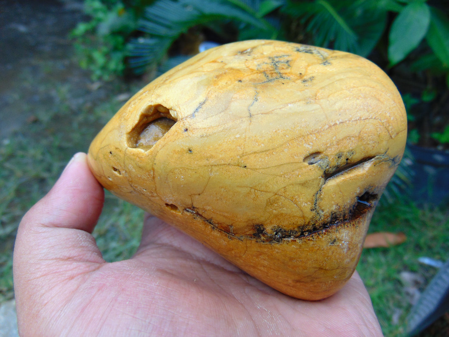 290 Gr Rough 102x70x75mm Polished Indonesian Fragrant Amber for Healing 25K8