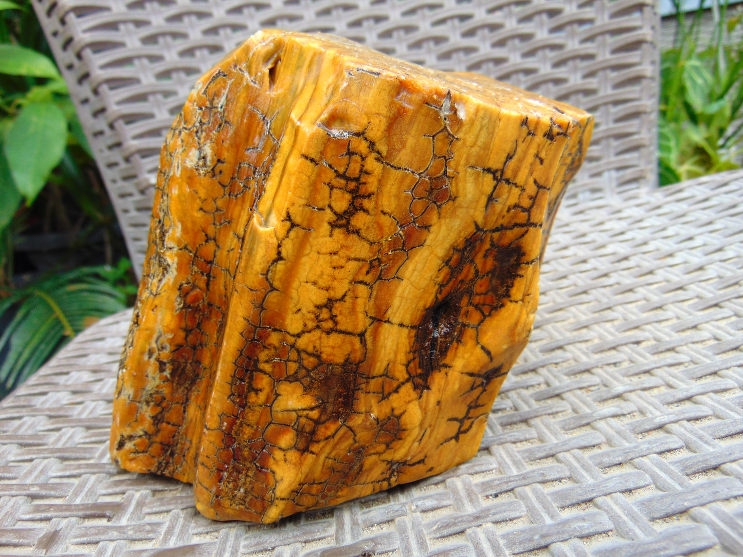 666 gram Polished 131x115x55mm Indonesia Yellow Fragrance Amber for Healing 25K10