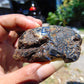 38 gram Rough Raw Indonesian Blue Amber for Healing AGRB51