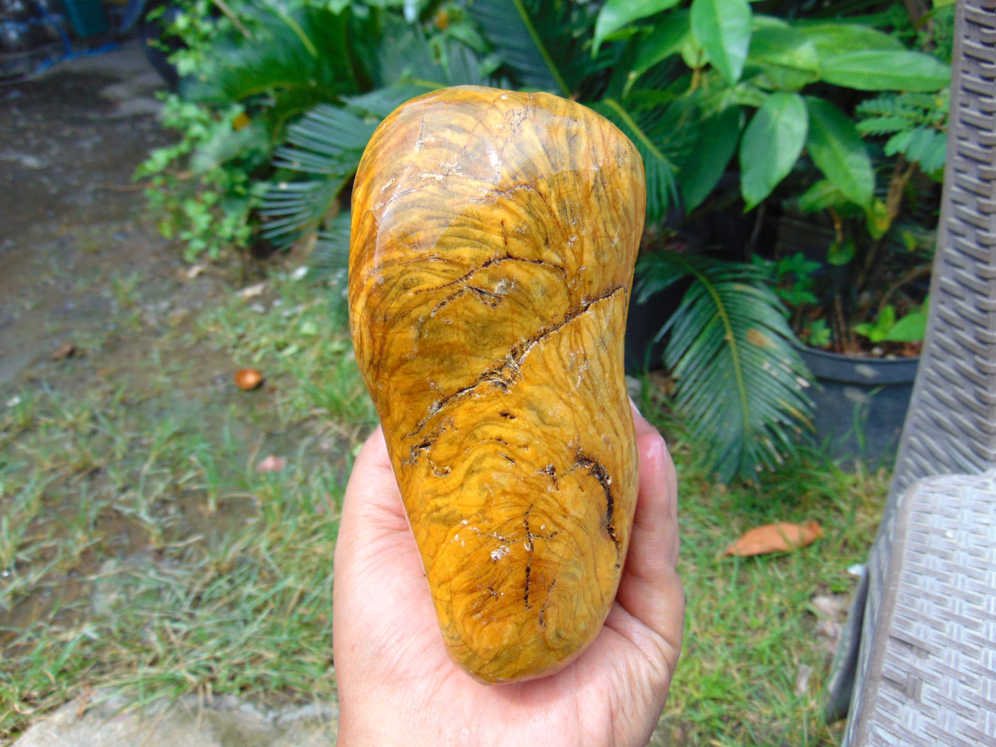 794 gram Polished 150x130x55mm Indonesia Yellow Fragrance Amber for Healing 25K17