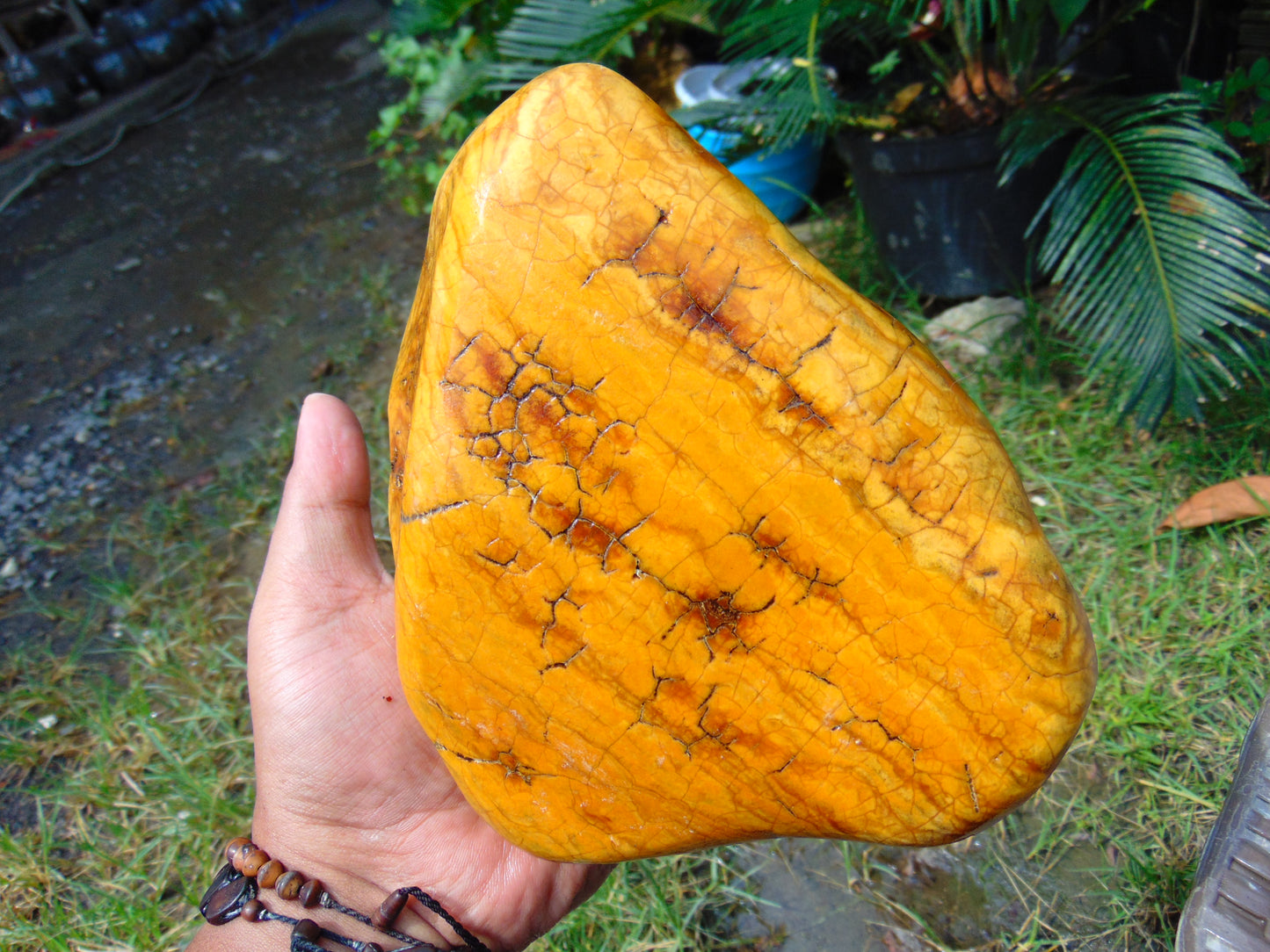 794 gram Polished 150x130x55mm Indonesia Yellow Fragrance Amber for Healing 25K17
