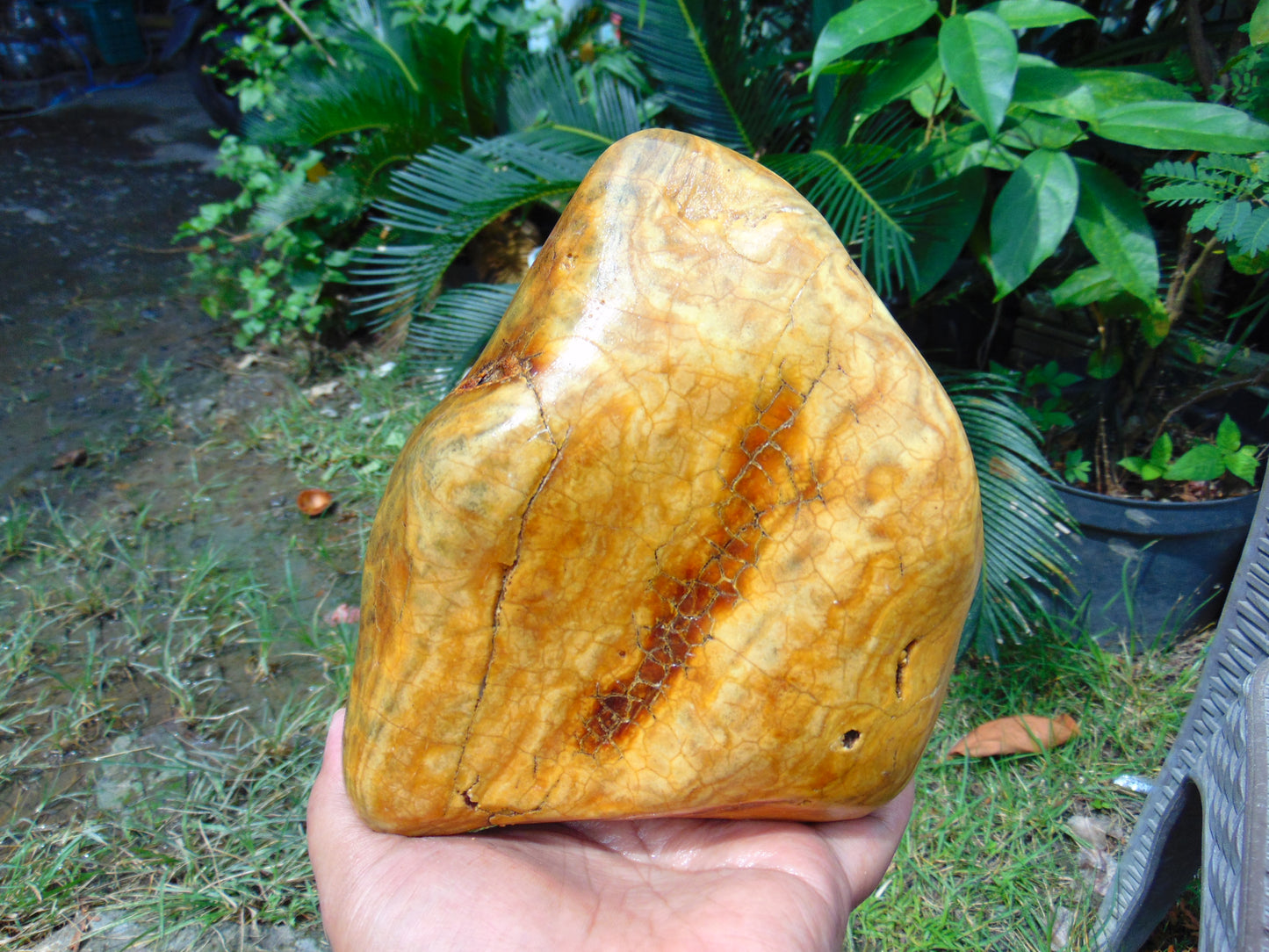 794 gram Polished 150x130x55mm Indonesia Yellow Fragrance Amber for Healing 25K17