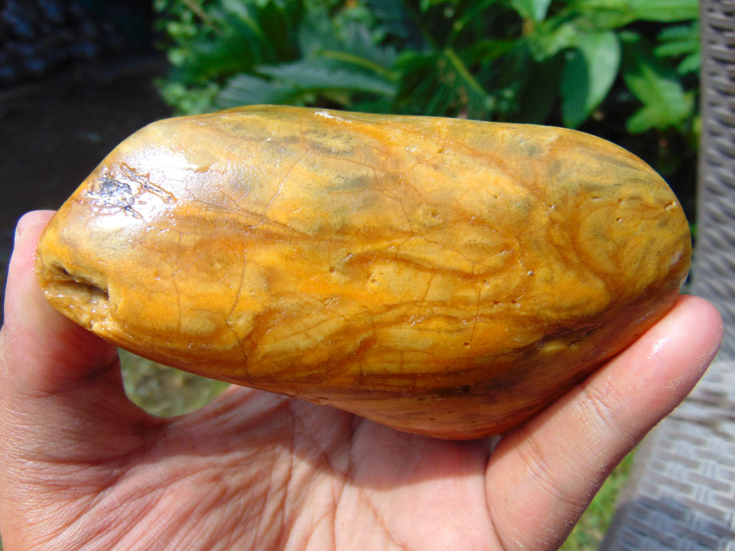 147 gram Polished 88x62x52mm Indonesia Yellow Fragrance Amber for Healing 25K20