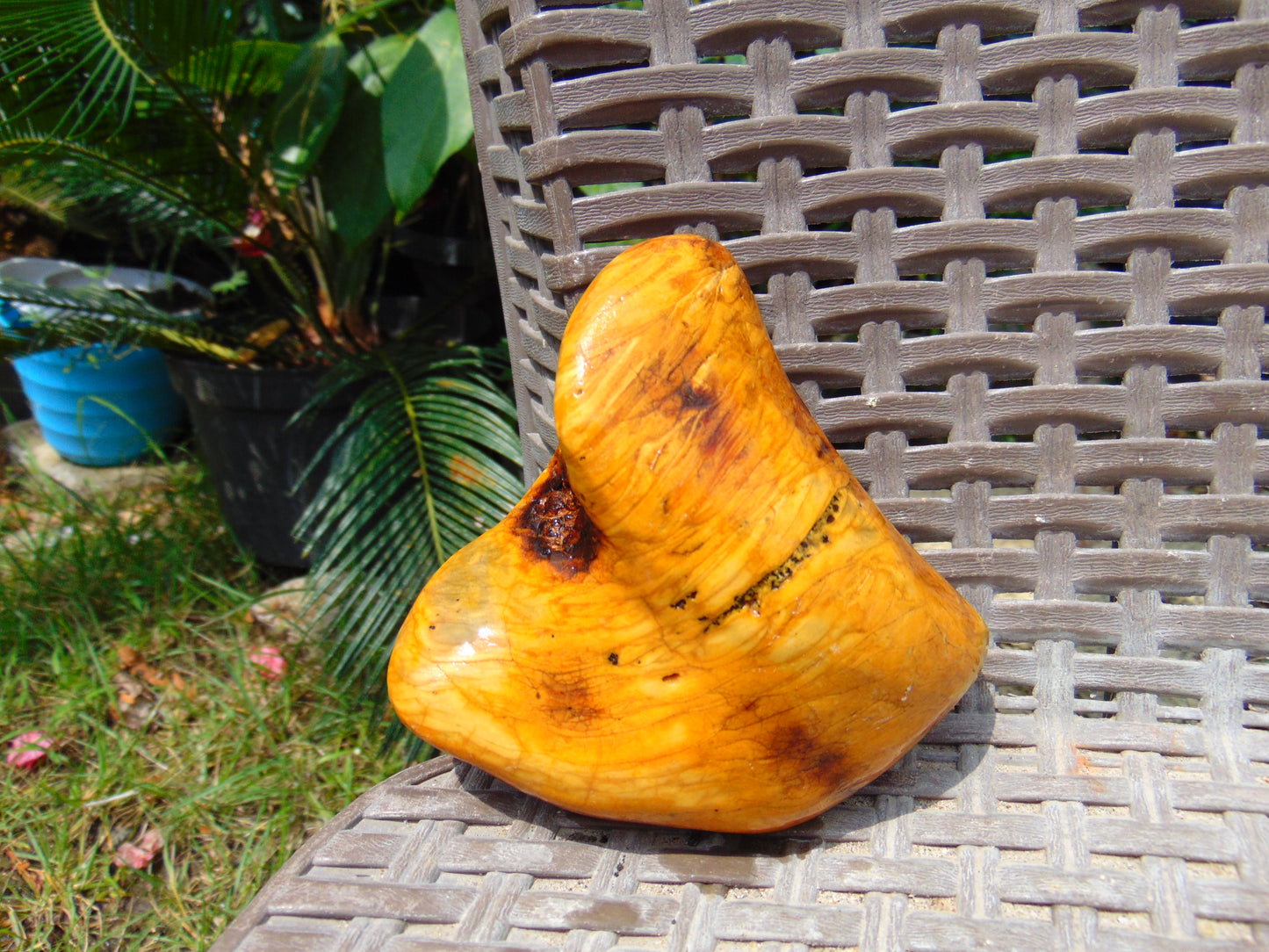 206 gram Polished 101x87x35mm Indonesia Yellow Fragrance Amber for Healing 25K24