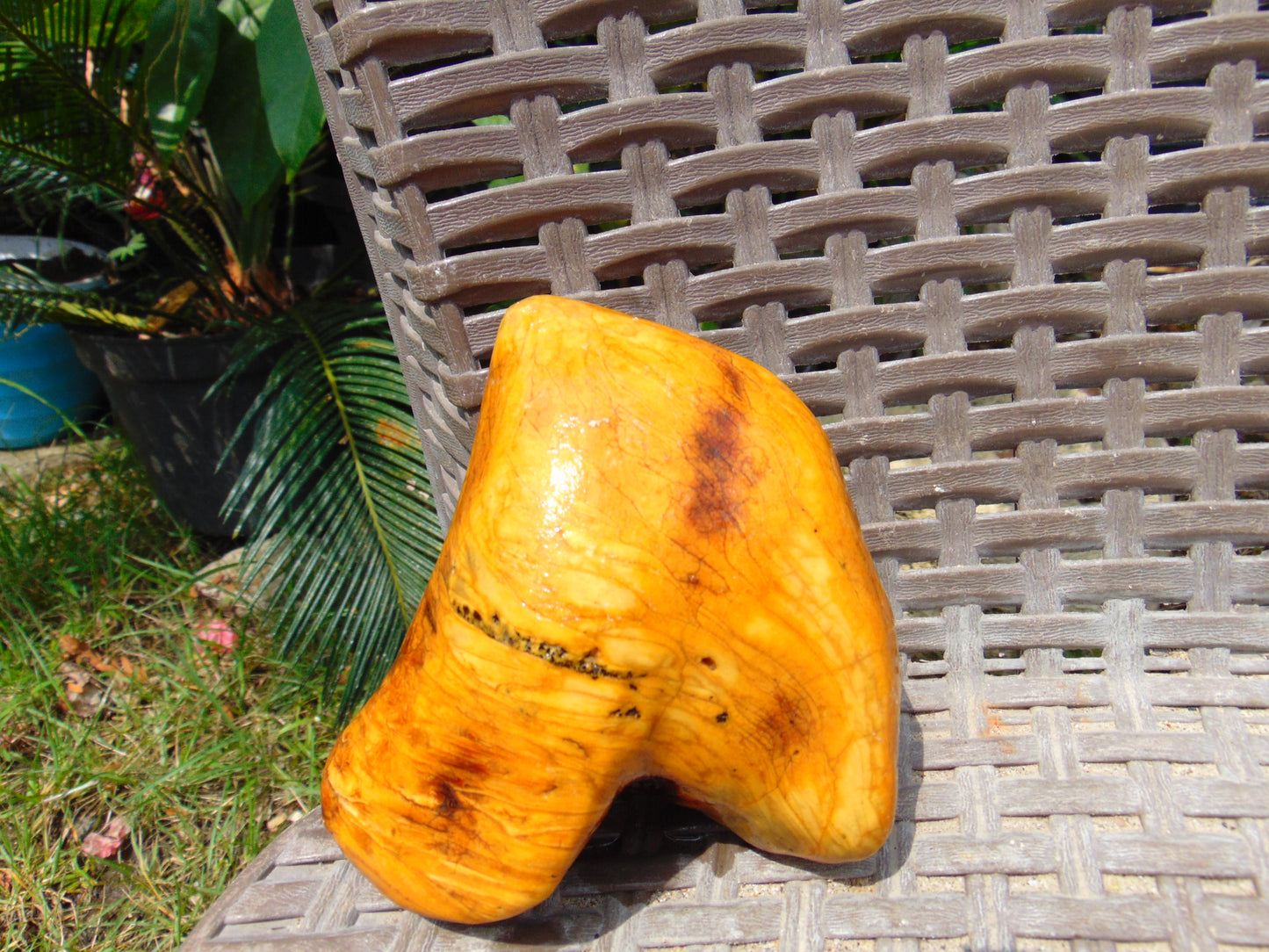 206 gram Polished 101x87x35mm Indonesia Yellow Fragrance Amber for Healing 25K24