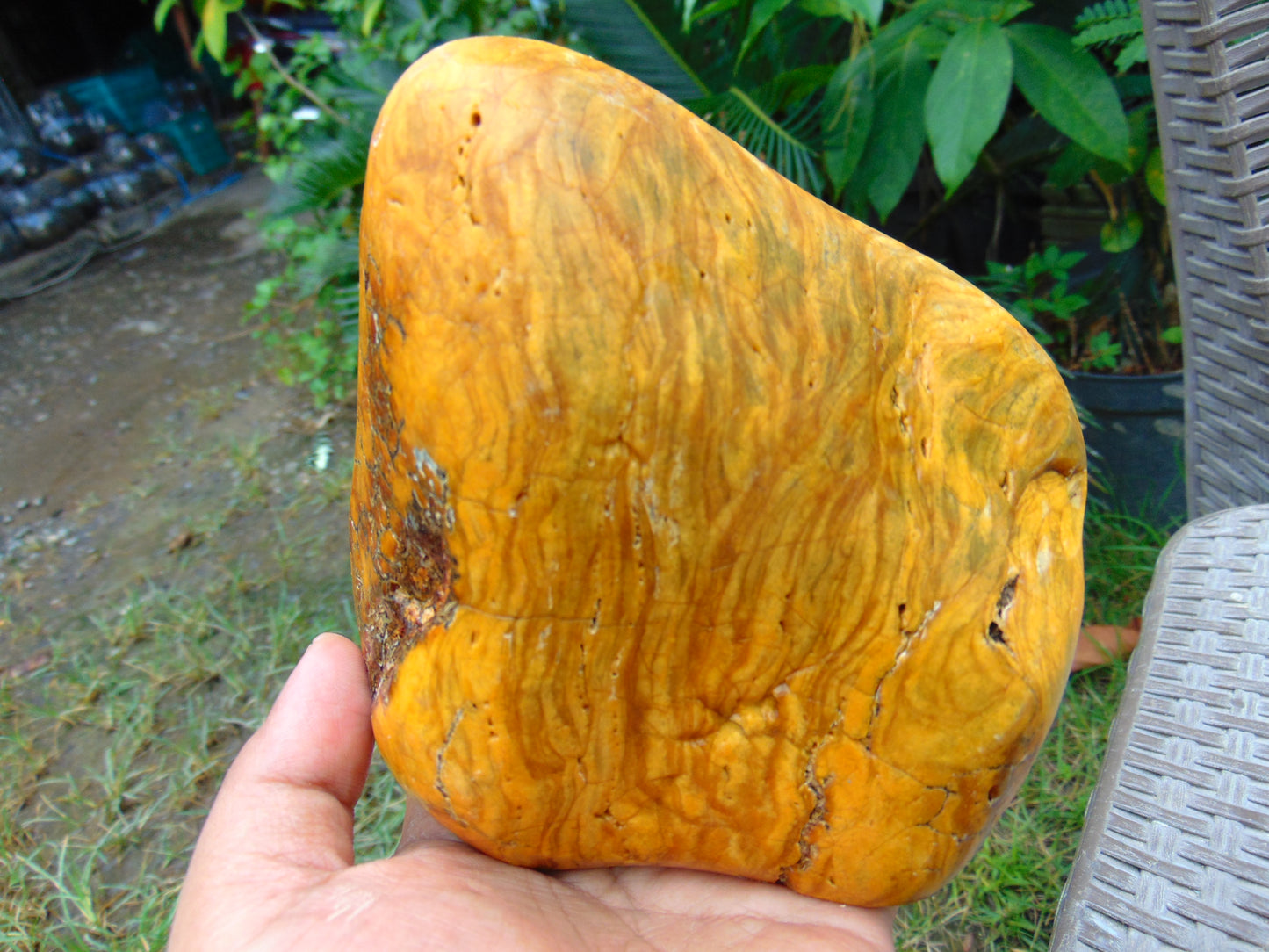 728 gram Polished 120x100x80mm Indonesia Yellow Fragrance Amber for Healing 25K26