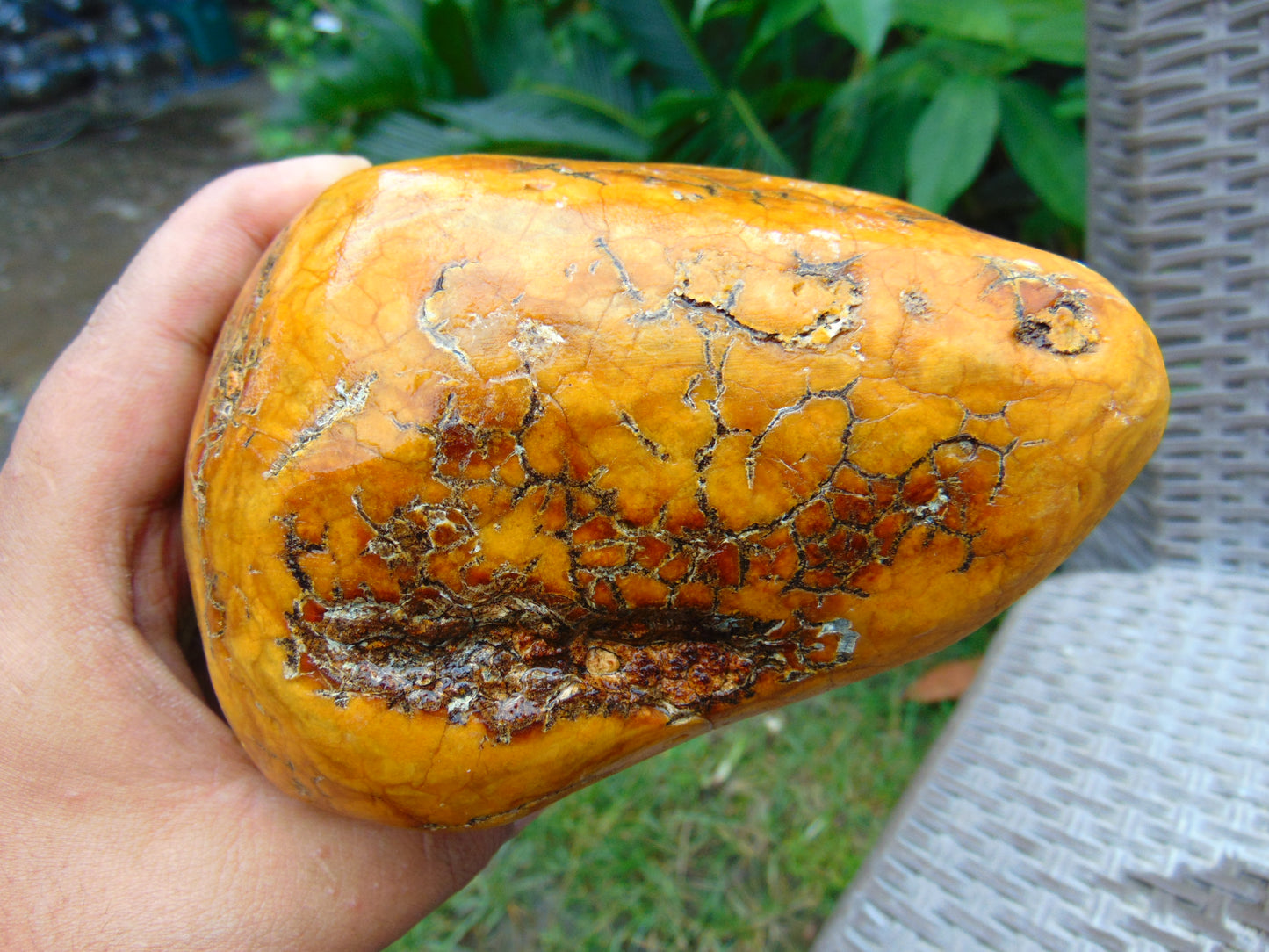 728 gram Polished 120x100x80mm Indonesia Yellow Fragrance Amber for Healing 25K26