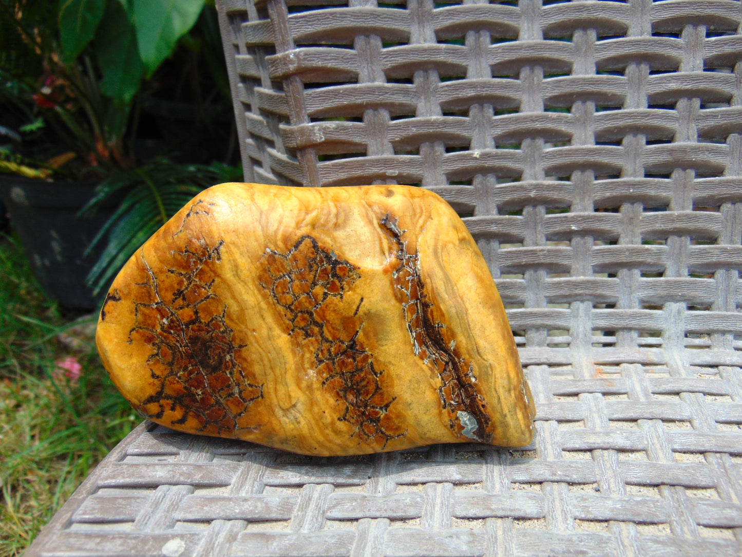 196 gram Polished 100x68x55mm Indonesia Yellow Fragrance Amber for Healing 25K28