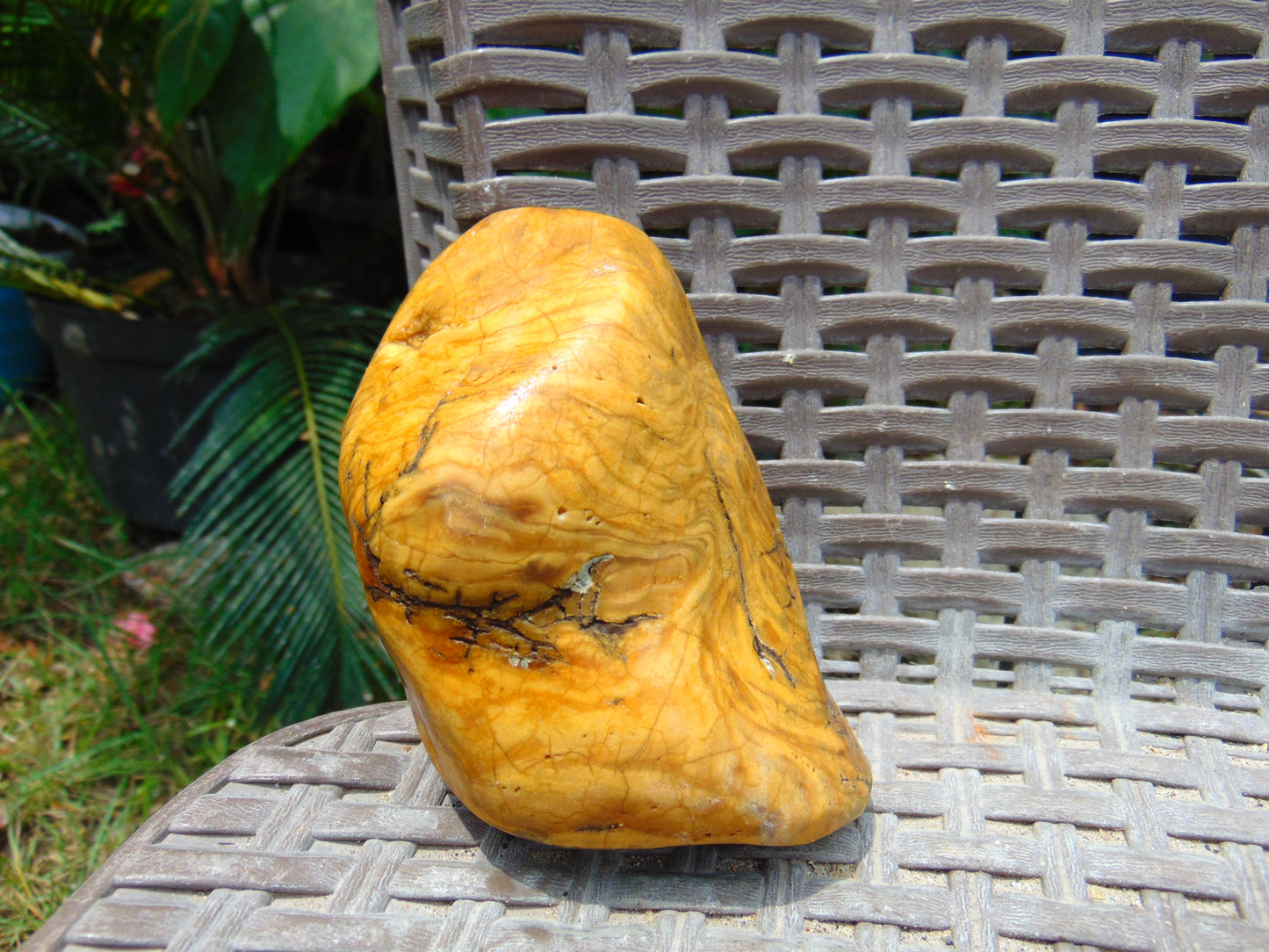 196 gram Polished 100x68x55mm Indonesia Yellow Fragrance Amber for Healing 25K28