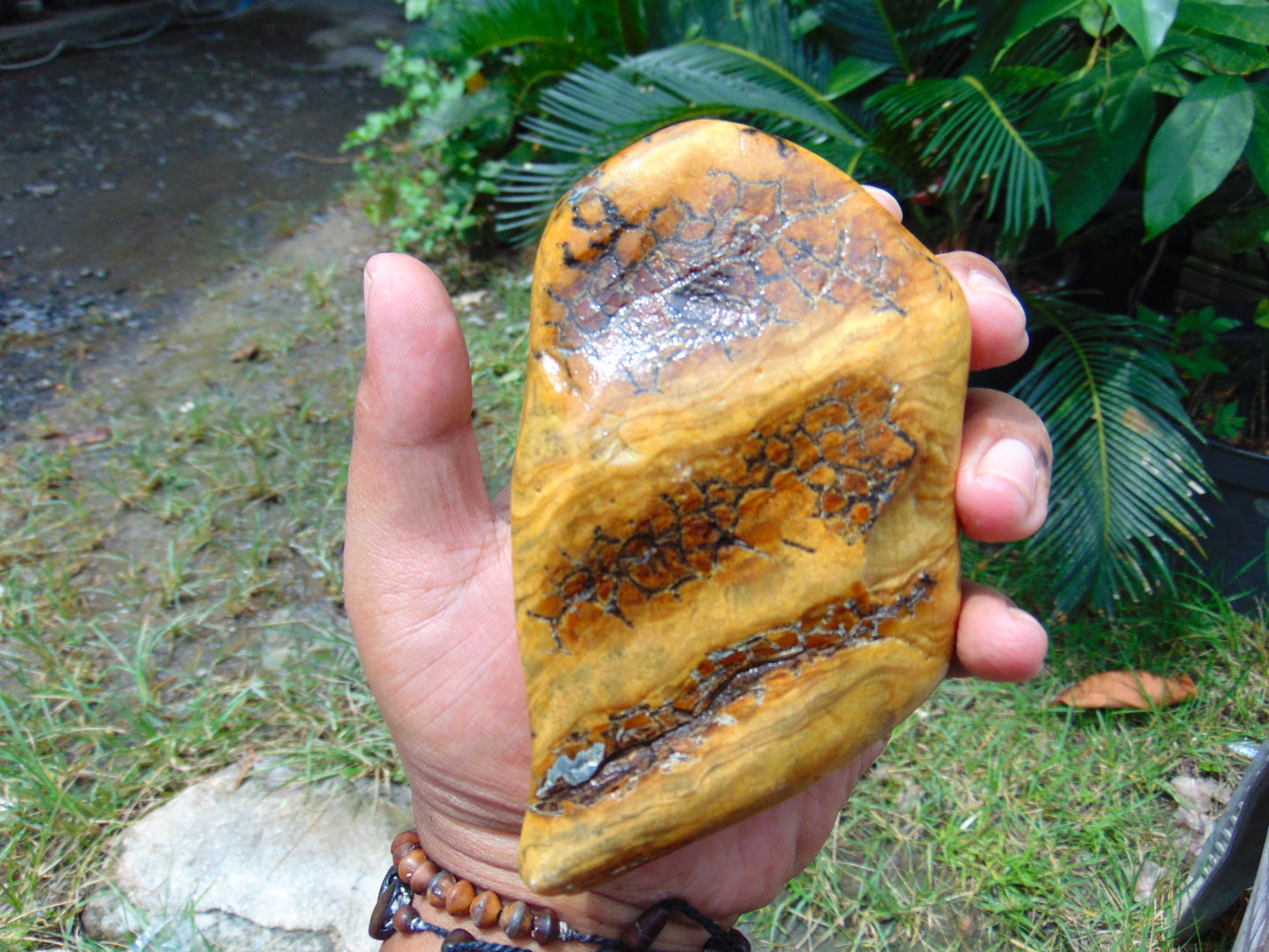 196 gram Polished 100x68x55mm Indonesia Yellow Fragrance Amber for Healing 25K28