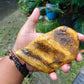 196 gram Polished 100x68x55mm Indonesia Yellow Fragrance Amber for Healing 25K28