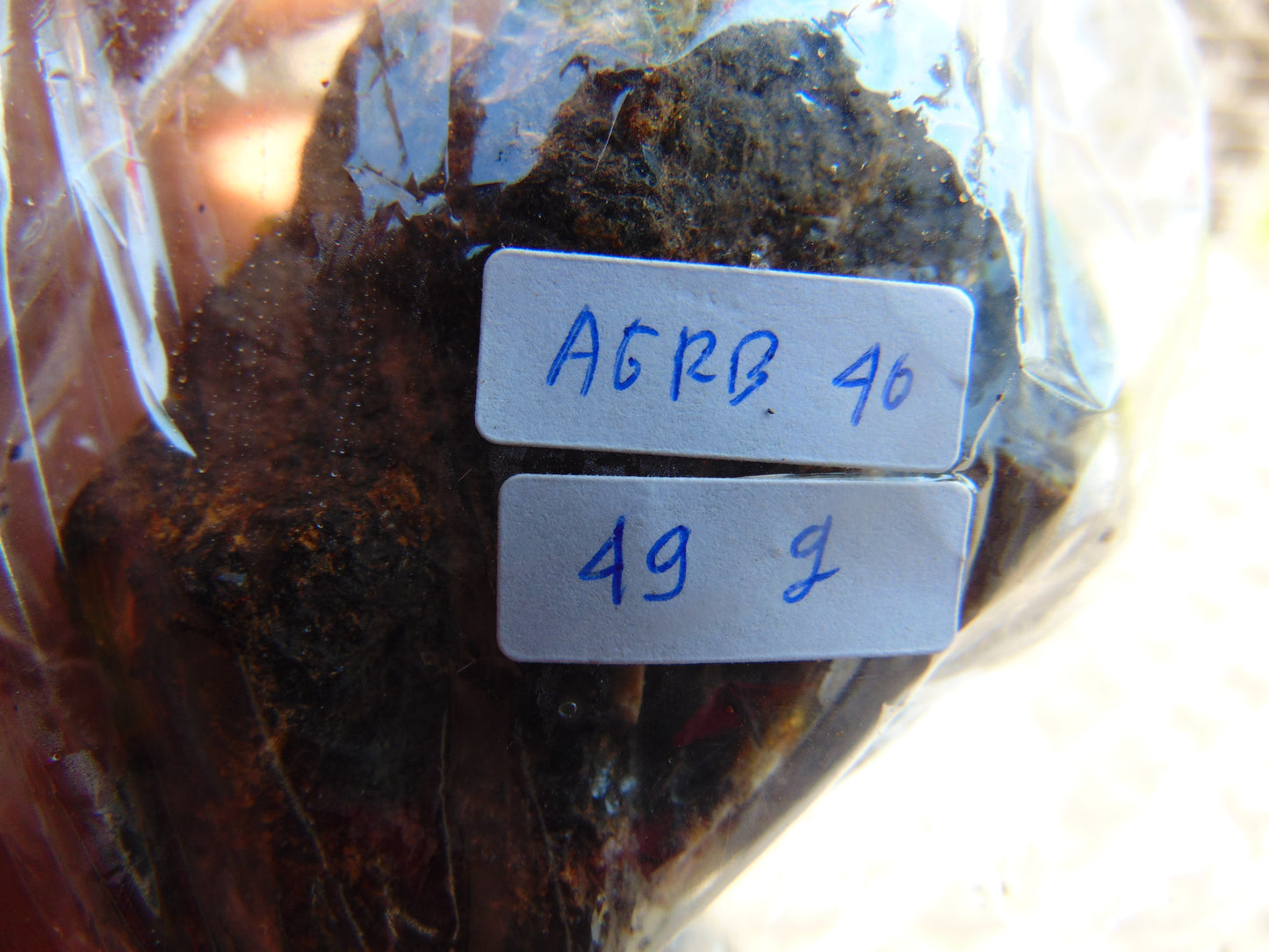 49 gram Rough Raw Indonesian Blue Amber for Healing AGRB40