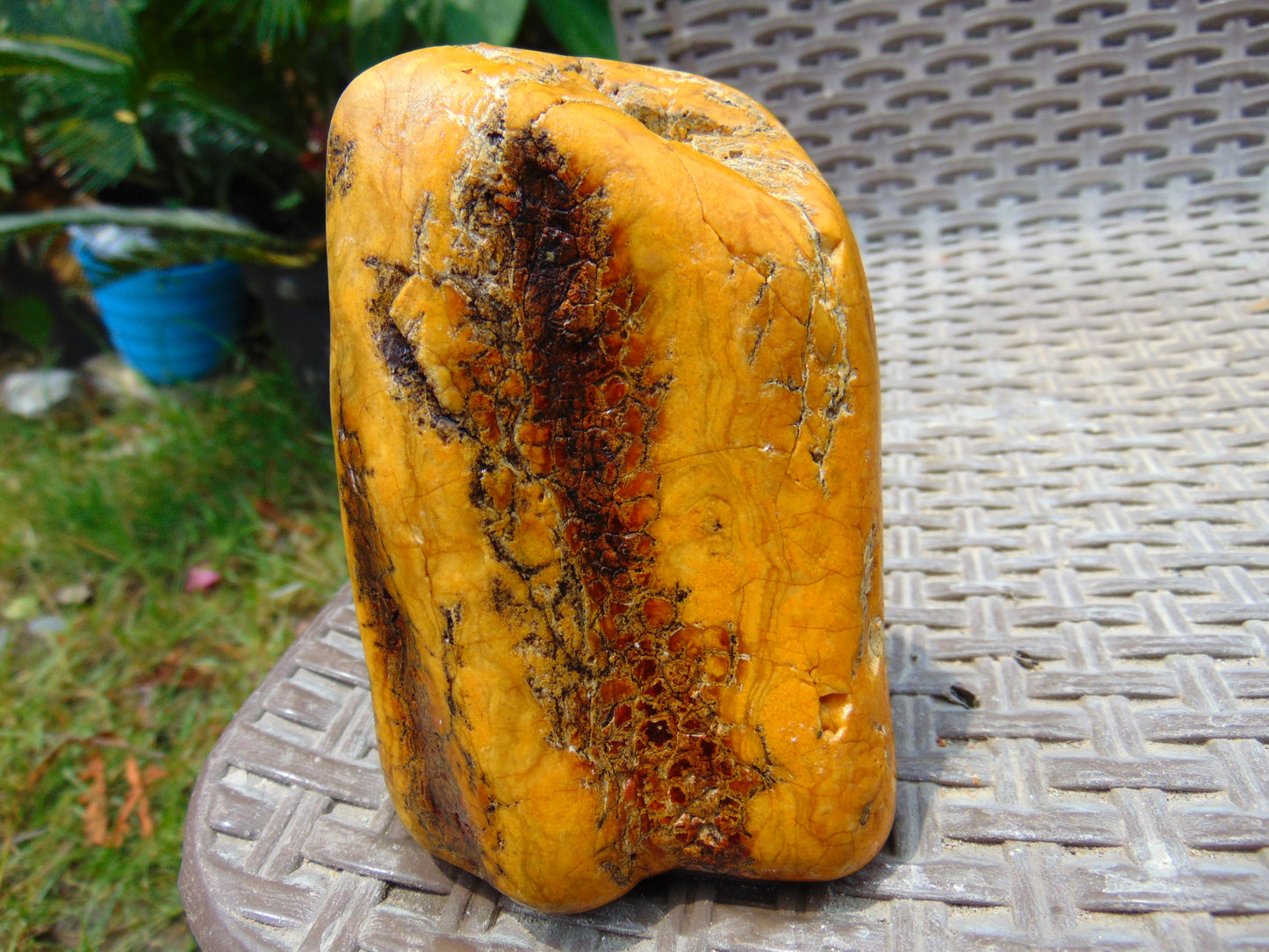 217 gram Polished 105x70x45mm Indonesia Yellow Fragrance Amber for Healing 25K32