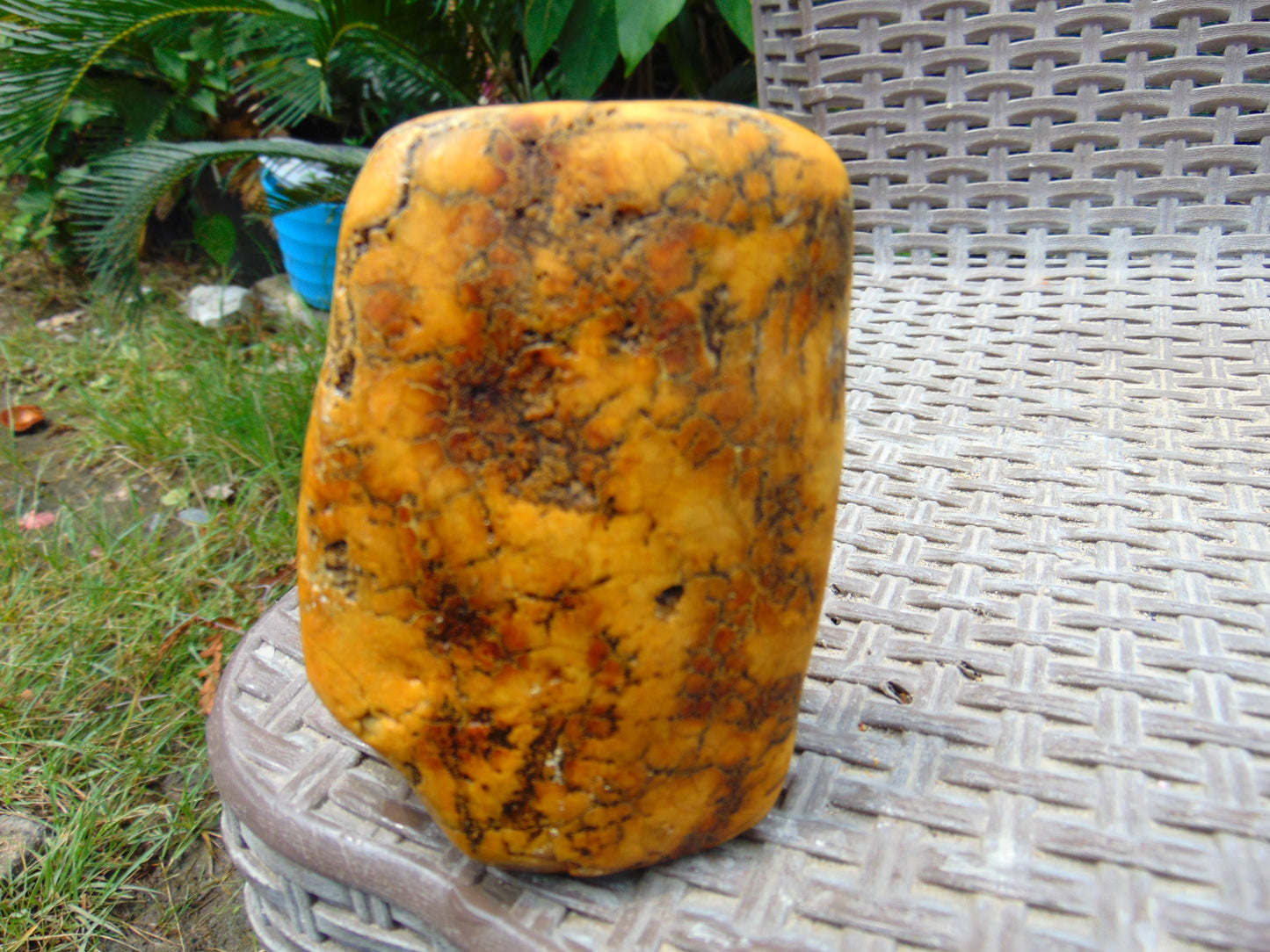 217 gram Polished 105x70x45mm Indonesia Yellow Fragrance Amber for Healing 25K32
